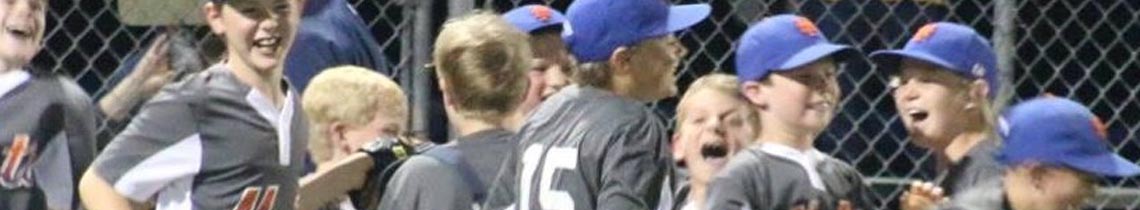Sandwich Babe Ruth